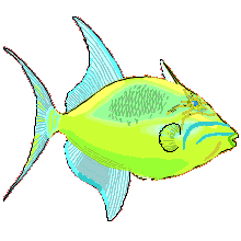 Triggerfish